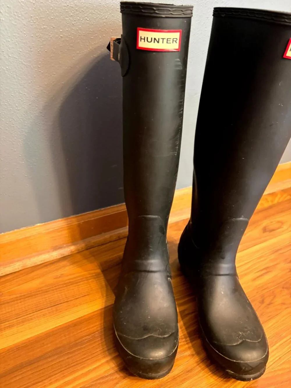 Hunter original tall